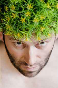 шампунь от перхоти шампунь от перхоти