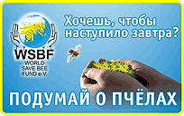 баннер WSBF e.V.